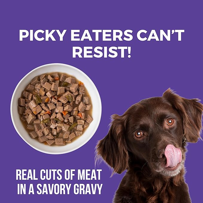 KOHA Memphis BBQ Stew for Dogs with Chicken and Pork, High Protein Wet Dog Food, 12.7oz Cans (Case of 12)