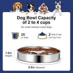 Slow Feeder Dog Bowls 304 Stainless Steel, 2 Cups Metal Food Bowls, Water Bowl for Small & Medium Sized Dogs, Fun Bloat Stop Pet Fast Eaters