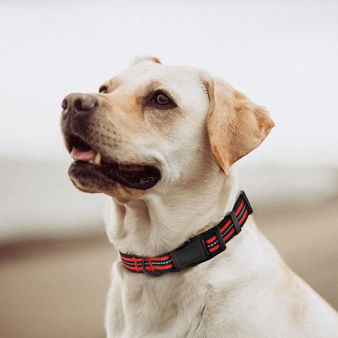 Mile High Life Reflective Dog Collar | Nylon Pet Collars wiith Buckle | Light Weight Puppy Collars | Red Dog Collars for Large Dogs (Red, L)