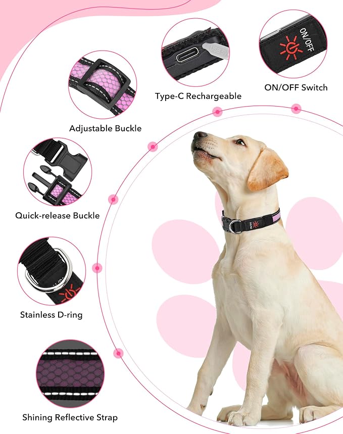 Weesiber Light Up Dog Collar, USB Rechargeable LED Dog Collar Glow in The Dark, Adjustable Reflective Waterproof Dog Collar Light for Night Walking(Pink, M)
