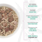 Tiki Cat After Dark, Chicken & Pork, High-Protein and 100% Non-GMO Ingredients, Wet Cat Food for Adult Cats, 5.5 oz. Can (8 Count)