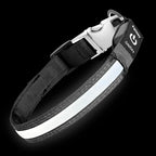 PetIsay LED Dog Collar Metal Buckle - Heavy Duty Light up Collars - Rechargeable IP68 Waterproof - Lighted Dog Collar for Night Walking, Hiking, Camping (Small, White)