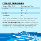 BIXBI Liberty Dry Food Salmon Recipe for Cats, 3lb