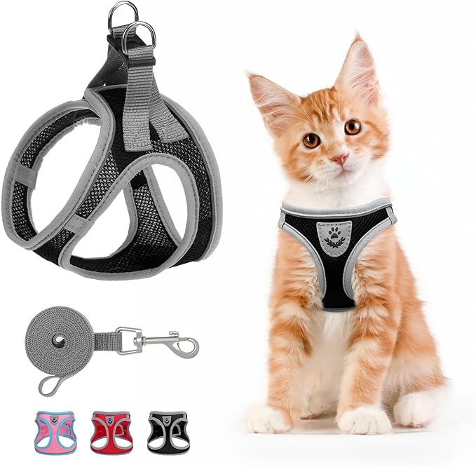 SCENEREAL Cat Harness and Leash Set Escape Proof, Adjustable Soft Air Mesh Kitten Harnesses for Girls Boys Small Medium Big Cats, Reflective Light Travel Pet Walking Vest for Puppy Rabbit, Black S