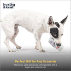 Huxley & Kent Funny Dog Toy w/Squeaker – Power Plush Squeaky Dog Toys for Small Dogs – Durable Small Stuffed Animal for Indoor Play & Fetch - Tiny Tuff Grrrs Light