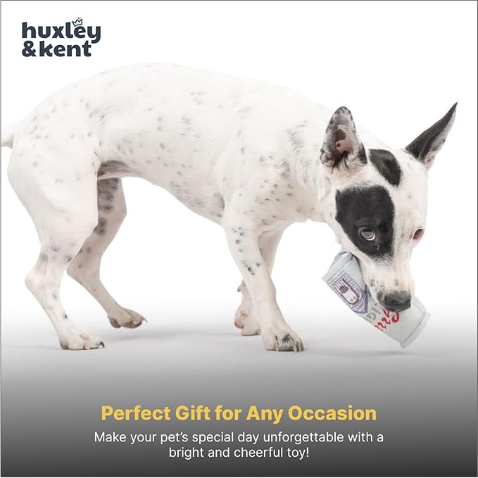 Huxley & Kent Funny Dog Toy w/Squeaker – Power Plush Squeaky Dog Toys for Small Dogs – Durable Small Stuffed Animal for Indoor Play & Fetch - Tiny Tuff Grrrs Light