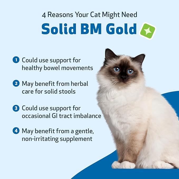 Pet Wellbeing Solid BM Gold for Cats - Supports Healthy Digestive Function, Solid Stools, Normal Bowel Movements, Bayberry - Veterinarian-Formulated Herbal Supplement 4 oz (118 ml)