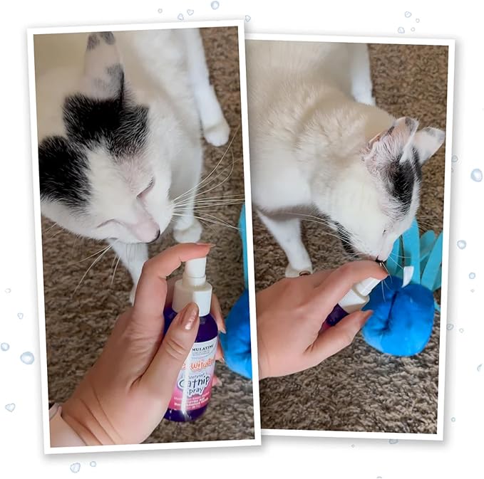 Meowijuana Catnip & Silvervine Spray Trio - 3 oz | High Potency Formula | Natural Formula for Pet Owners & Multi-Cat Households | Enhance Playtime & Relaxation | Perfect for New Cat Owners