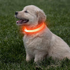Light Up Dog Collar - Rechargeable LED Dog Collar, Adjustable Reflective Puppy Collar, Glowing Safety Dog Lights for Small Breeds Dogs Cats (Orange)