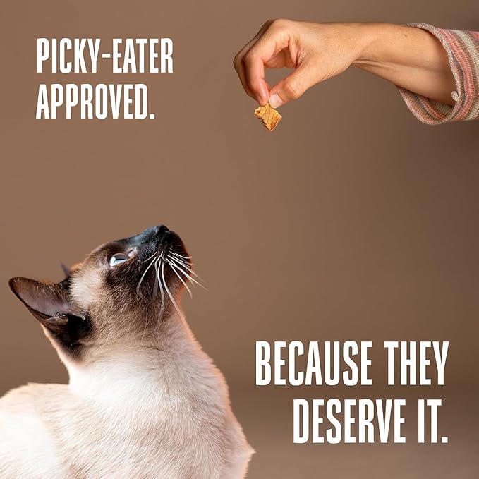 Whole Life Cat Just One Salmon Freeze Dried Cat Treats - Human Grade High Protein Food, Healthy Training Snacks, Freeze Dried Salmon Food Toppers, USA Made Natural Treats - 8 oz (Pack of 1)