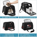 Cat Carrier Dog Carrier Pet Carriers for Medium Small Cats Dogs Puppies up to 15 Lbs,TSA Airline Approved Small Dog Cat Carriers Soft Sided,Collapsible Travel Puppy Carrier (Black, Large)
