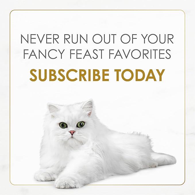 Purina Fancy Feast Kitten With Savory Chicken and Turkey Kitten Dry Food - 3 lb. Bag