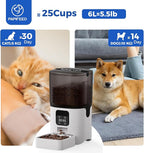 PAPIFEED 6L Automatic Cat & Small Dog Feeder - Programmable Pet Feeder with 36 Daily Meals, Detachable Stainless Steel Bowl, 25 Cup Capacity Smart Food Dispenser for Easy Cleaning