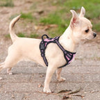 rabbitgoo Dog Harness No Pull with 2 Leash Clips, Adjustable Soft Padded, Reflective Oxford No Choke Pet Vest with Easy Control Handle for Puppy, Pink, XS