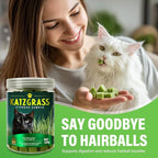 Natural Cat Grass Treats for Indoor Cats | Salmon & Catnip Dental Snacks | Hairball Control & Teeth Cleaning | Freeze-Dried Training Rewards