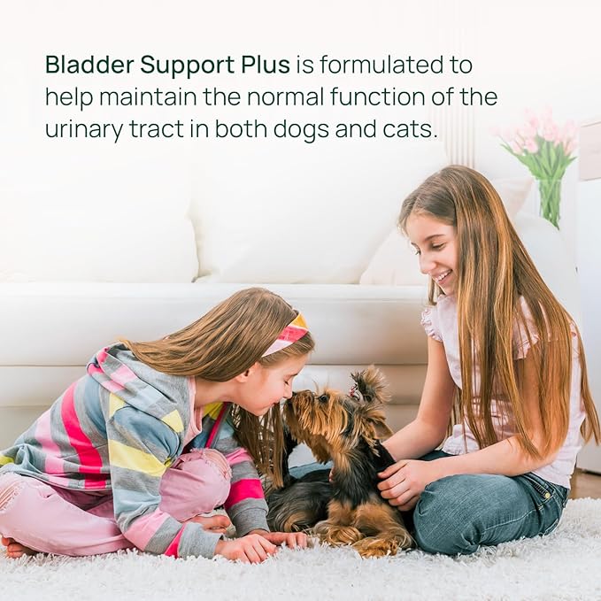 pawTree Bladder Support Plus for Dogs and Cats - Bladder & Urinary Tract Wellness Supplement - with D-Mannose, Cranberry, Glucosamine and Marshmallow Root to Support Bladder Health (Large)