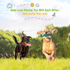 LEGEND SANDY Squeaky Dog Toys for Puppy Small Medium Dogs, Stuffed Samll Dog Toys Bulk with Plush Pet Doggie Toy Set, Cute Safe Pet Chew 12 Pack for Puppies Teething