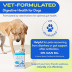Native Pet Probiotics for Dogs - Dog Probiotics Powder for Digestive Health, Gut Support, & Immune Boost – Vet-Formulated Powder for Maximum Potency with Digestive Enzymes & Prebiotics - 30 Scoops