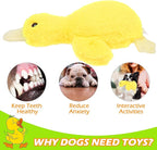 EXPAWLORER Plush Squeaky Duck Dog Toy - Soft Stuffed Small Dog Toys Cute Yellow Duck, Best Birthday Gift Interactive Filled Chew Toys for Puppy Small Medium Dogs Biting Training Teething, 2 Pack