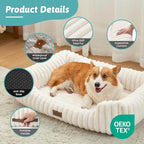 Orthopedic Dog Bed for Medium Dogs & Large Dogs - Washable Rectangle Pet Bed with Anti-Slip Bottom, Soft Calming Cat & Puppy Bed for Indoor Pets (35"x25"x8", Cream)