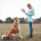 LEGEND SANDY Squeaky Plush Dog Toy 6 Pack for Puppy, Small Stuffed Puppy Chew Dog Toys Bulk with Squeakers, Cute Soft Pet Toy for Small Medium Size Dogs