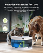 Wireless Dog Water Fountain with 50 Filter,Battery Operated Dog Water Dispenser with Motion Sensor, 237 oz/ 7L Cordless Fountain Water Bowl for Large Dogs Cat(Replacement Filter for 12 Months)