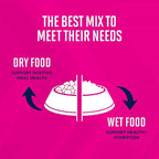 Eukanuba Adult Large Breed Dry Dog Food, 16 lb