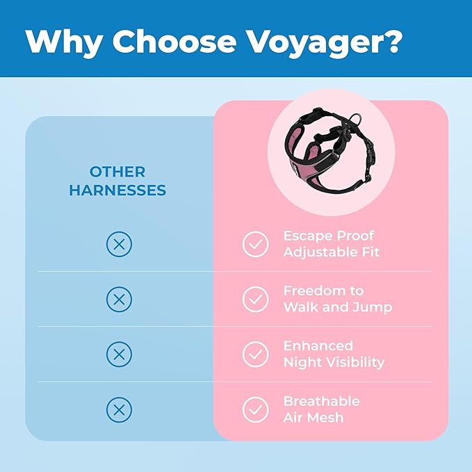 Voyager Escape-Proof Step-in Lock Cat Harness & 5ft Neoprene-Handle Leash Set All-Weather Mesh with Reflective Stitching for Small to Large Cats by Best Pet Supplies, Black Trim-Pink (327), XS