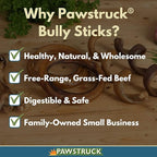 Pawstruck All-Natural 6" Bully Stick Springs for Dogs - Fun, Challenging, Rawhide-Free, 100% Beef, Single Ingredient Chew Bones - Fully Digestible, Low Odor - 25 Pack - Packaging May Vary