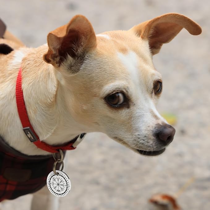 MYLUCKYTAG QR Code Stainless Steel Pet ID Tag Personalized Dog Tag, Online Pet Profile, Pet Location Alert Email, Digital Pet Tag, Durable Pet ID, Dog Collar Tag, Engraved Pet Tag