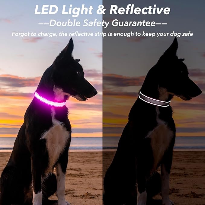 Visinite LED Dog Collar USB Rechargeable, Reflective Light Up Pet Collar for Night Walking, Adjustable Glow Collar for Small Medium Large Dogs (Pink, L)