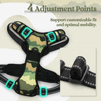 rabbitgoo Dog Harness No Pull with 2 Leash Clips, Adjustable Soft Padded, Reflective Oxford No Choke Pet Vest with Easy Control Handle for Large Dogs, Green Mountain,S