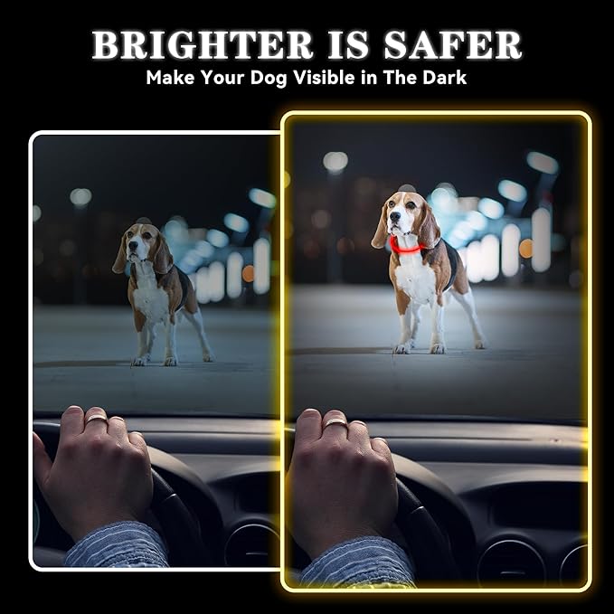 Light Up Led Dog Collar Rechargeable Waterproof, Glow in Dark Dog Collar, TPU Cuttable Lighted Dog Collars for Night Walking Charging USB, Safety for Small Medium Large Dogs Red