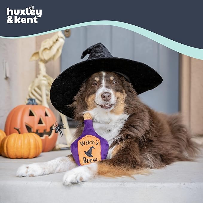 Huxley & Kent Halloween Funny Dog Toy w/Squeaker – Power Plush Squeaky Dog Toys for Small, Medium & Large Dogs – Soft Stuffed Animal for Indoor Play & Fetch - Witch's Brew, One Size