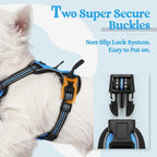 rabbitgoo Dog Harness No Pull with 2 Leash Clips, Adjustable Soft Padded, Reflective Oxford No Choke Pet Vest with Easy Control Handle for Puppy, Blue, XS