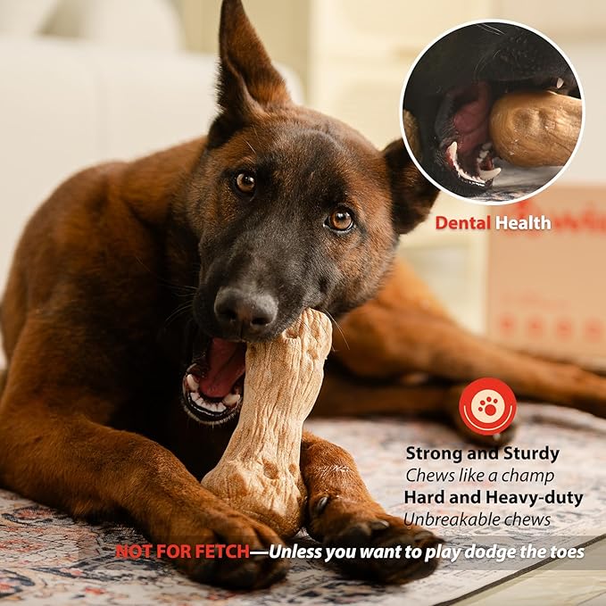 Willjoy 3-Pack Dog Chew Toys for Aggressive Chewers, Pine Wood & Tough Nylon, Bone Shaped Indestructible Dog Toy, Natural Looking Grooves & Textured, Bacon Flavor Large Dog Toys to Keep Them Busy