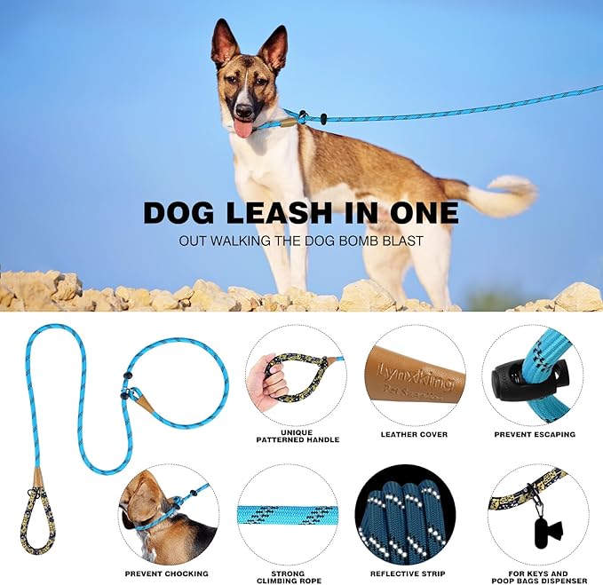 lynxking Slip Lead Dog Leash Reflective, Heavy Duty Comfortable Strong Rope Leash for Large Medium Small Dogs No Pull Training (Light Blue, Large 1/2in x 6ft-Slip Lead)