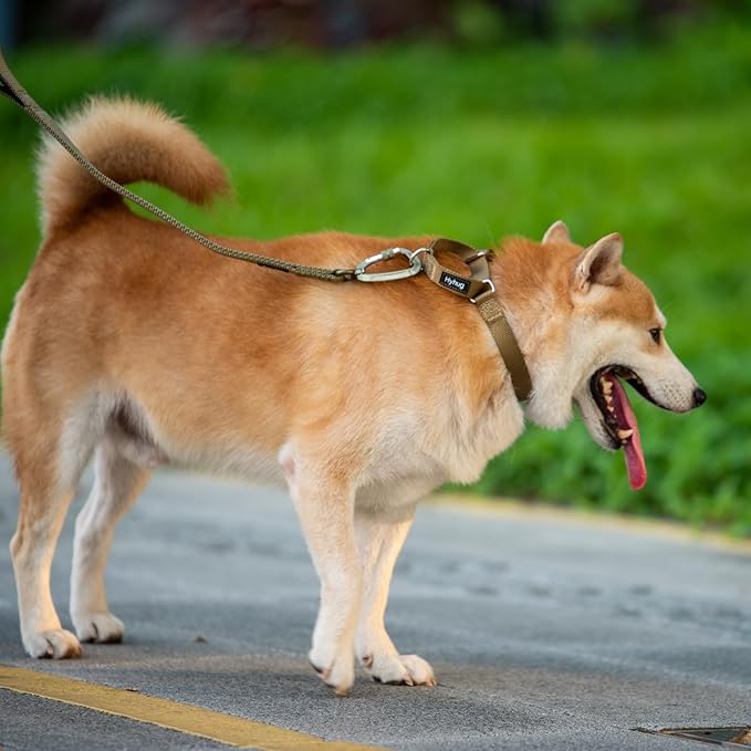 Hyhug Martingale Collar for Dogs Large Yellow |Escape - Proof Heavy Duty Nylon Durable No Pull, Ideal for Training & Daily Walks