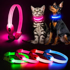 YFbrite Light up Dog Collars for Night Walking, Rechargeable LED Cat Collar, Comfortable Adjustable Lighted Dog Collar Rechargable for Cats, Small, Medium and Large Dogs (Pink, XS)