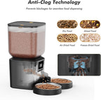 Automatic Cat Feeder for 2 Cats - 8L/34 Cups Large Capacity Auto Cat Food Dispenser with LCD Screen, 2 Food Trays, Timed Feeder, Up to 50 Portions 6 Meals Per Day, Keep Fresh