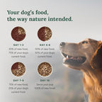 360 Pet Nutrition Freeze-Dried Raw Dog Food – Chicken Recipe with Liver & Organs, High Protein, Omega-3s, Fruits, Veggies & Superfoods, Grain-Free, No Fillers, 5 oz – Made in USA