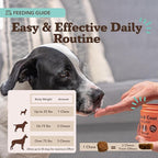 Natural Dog Company Skin & Coat Supplement for Dogs Omega-3 Rich Salmon Oil Chews for Itchy Skin Relief, Shedding & Allergy Support, Shiny Coat Health, with Biotin, Vitamin E, Grain-Free (90 Count)