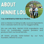 Winnie Lou Bison Burger Jerky Dog Treats – Limited Ingredient, Human Grade, Training Treats for Small, Medium & Large Dogs, Made in USA (1 Pack)
