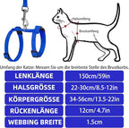 PUPTECK Adjustable Cat Harness and Leash Set Escape Proof Kitten Strap Collar for Walking Travel, Blue, M