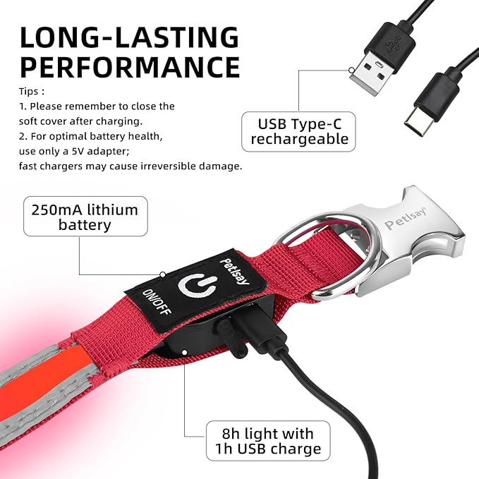 PetIsay LED Dog Collar Metal Buckle - Heavy Duty Light up Collars - Rechargeable IP68 Waterproof - Lighted Dog Collar for Night Walking, Hiking, Camping (Medium, Red)