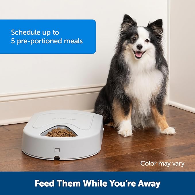 PetSafe Automatic Dog Feeder, 5 Meals, 40 oz Capacity, Plastic, for Dry Food, Multiple Pets