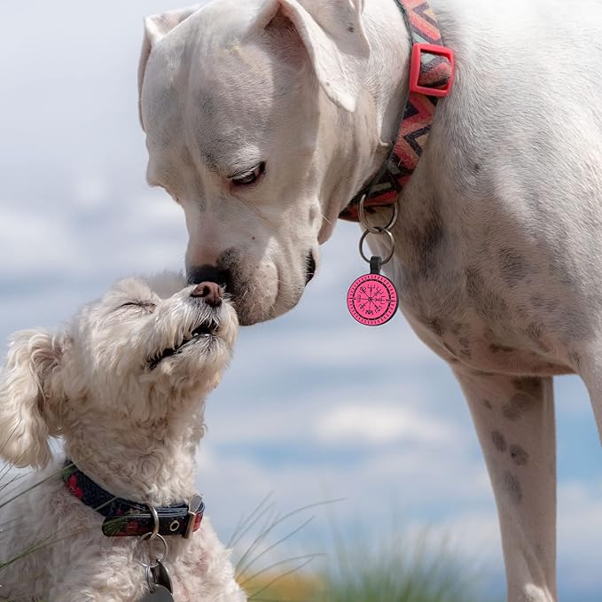 MYLUCKYTAG QR Code Silicone Pet ID Tag Dog Cat Tag, Online Pet Profile, Pet Location Alert Email, Digital Pet Tag, Quiet Dog Tag, Durable Pet ID, Dog Collar Tag, Engraved Pet Tag