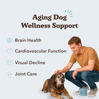 Natural Dog Company Senior Dog Vitamins Chew for Brain, Heart & Eye Health - Cognitive Support, Vision Clarity & Cardiovascular Function with Omega-3s, Lion’s Mane Senior Dog Supplements, 90 cnt