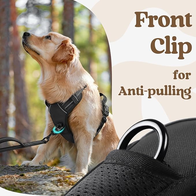 rabbitgoo Dog Harness Medium Sized, No Pull Pet Harness with 3 Buckles, Adjustable Soft Padded Vest with Control Handle, Walking Reflective Pet Vest for Medium Dogs, Black, M