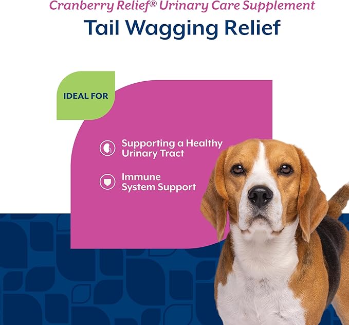 NaturVet – Cranberry Relief Plus Echinacea – Helps Support a Healthy Urinary Tract & Immune System – 60 Soft Chews